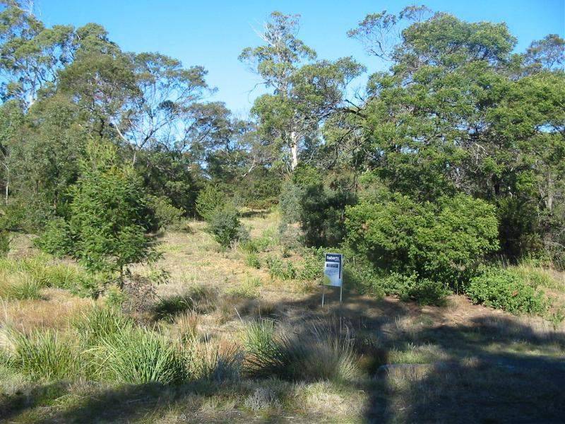 Lot 6 Elise Drive, Dodges Ferry TAS 7173