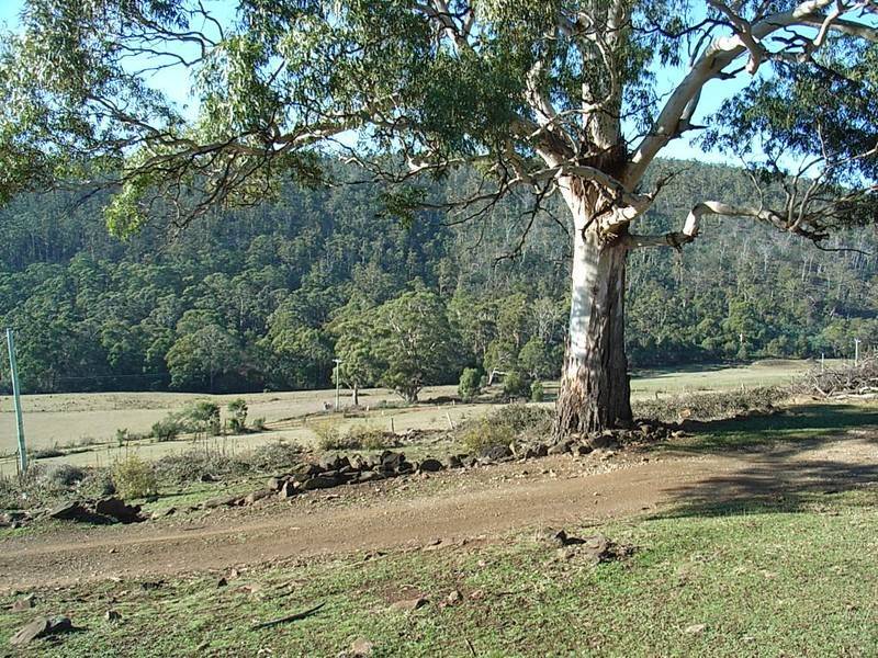 218 Wiggins Road, Wattle Hill TAS 7172