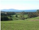 115 Bream Creek Road, Bream Creek TAS 7175