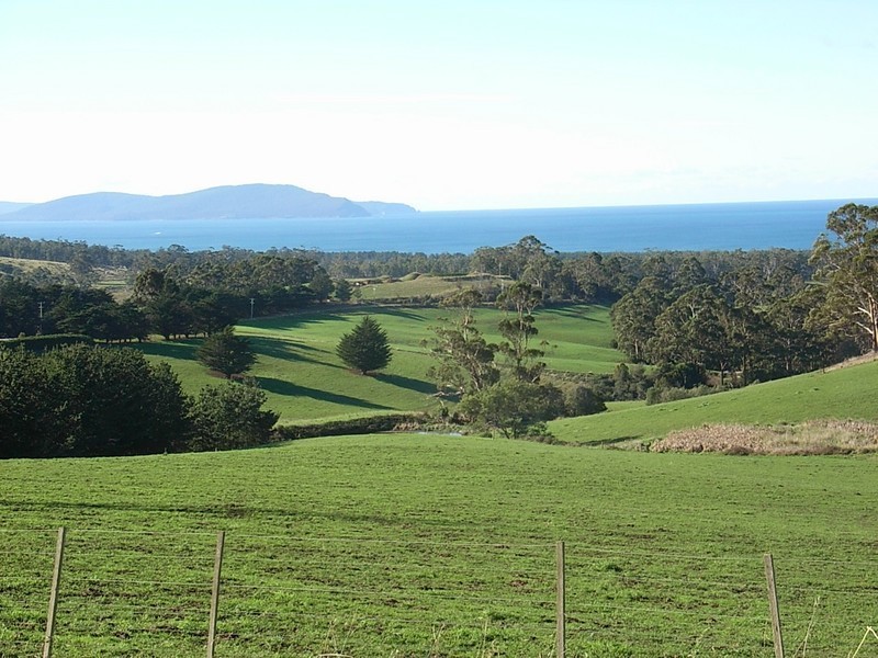 115 Bream Creek Road, Bream Creek TAS 7175