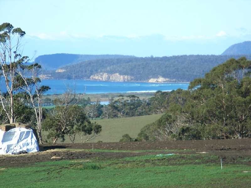 115 Bream Creek Road, Bream Creek TAS 7175