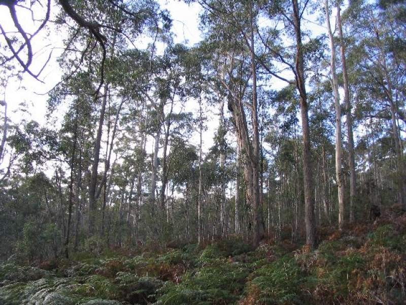 750 Dam Road, Saltwater River TAS 7186