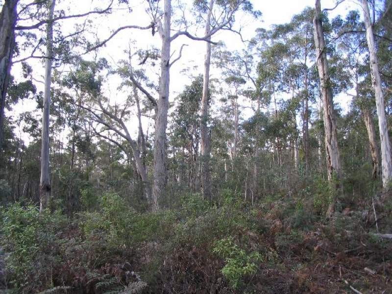 750 Dam Road, Saltwater River TAS 7186