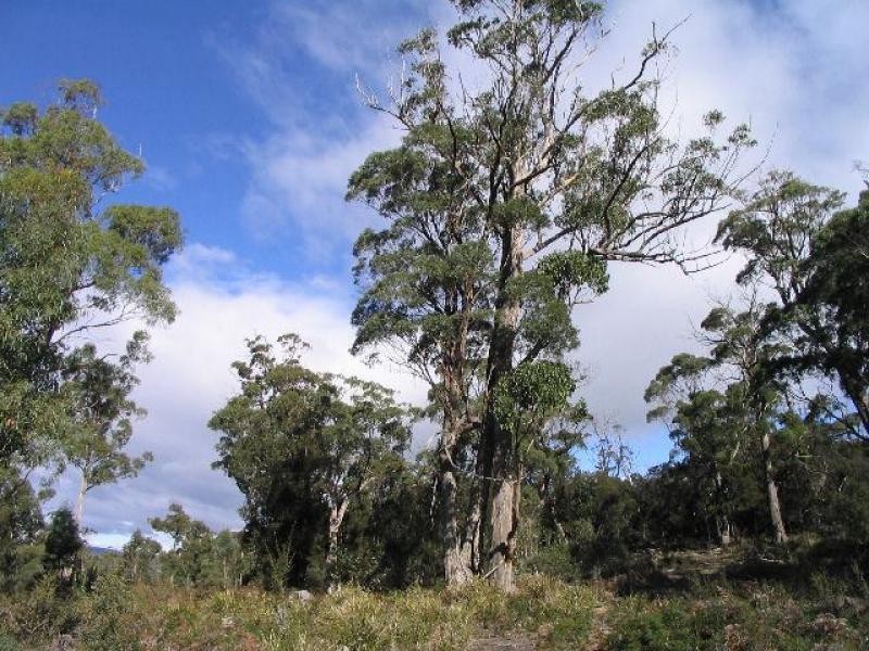 Lot 1 Flinders Bay Road, Murdunna TAS 7178