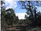 Lot 1 Flinders Bay Road, Murdunna TAS 7178