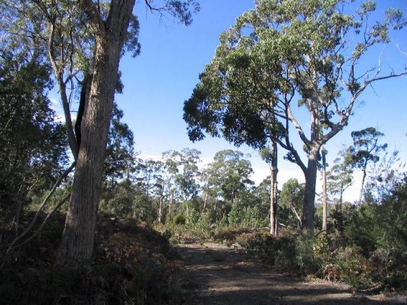 Lot 1 Flinders Bay Road, Murdunna TAS 7178