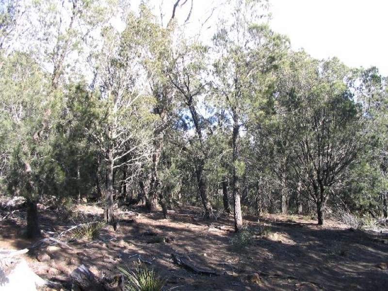 Lot 1 Flinders Bay Road, Murdunna TAS 7178