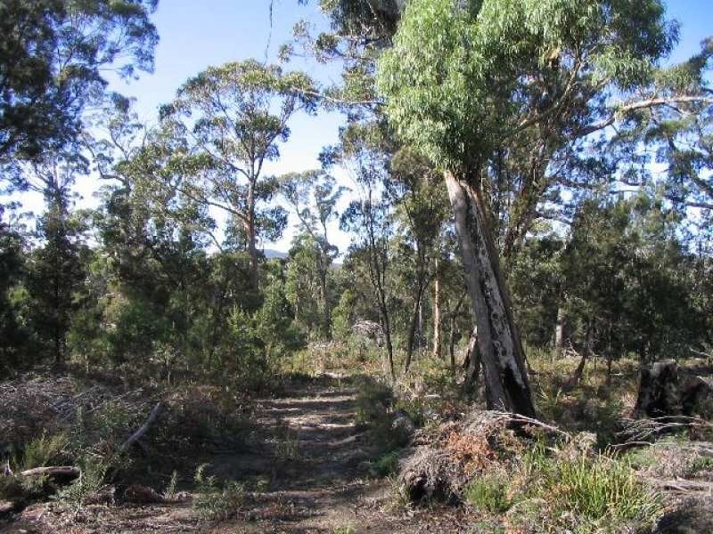 Lot 1 Flinders Bay Road, Murdunna TAS 7178