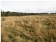 Lot 1 Stormlea Road, Highcroft TAS 7183
