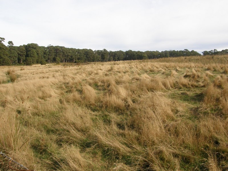 Lot 1 Stormlea Road, Highcroft TAS 7183