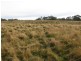 Lot 1 Stormlea Road, Highcroft TAS 7183