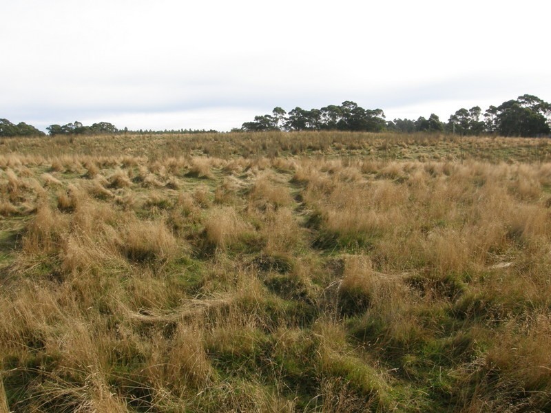 Lot 1 Stormlea Road, Highcroft TAS 7183