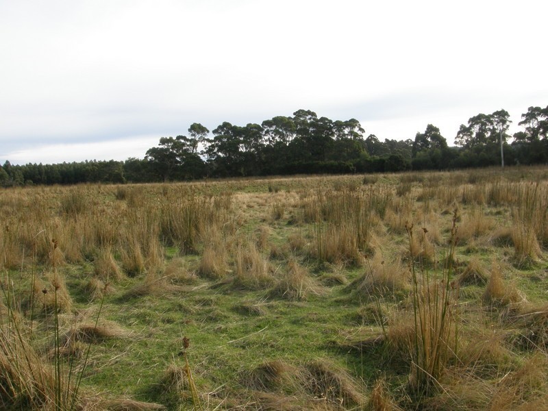 Lot 1 Stormlea Road, Highcroft TAS 7183