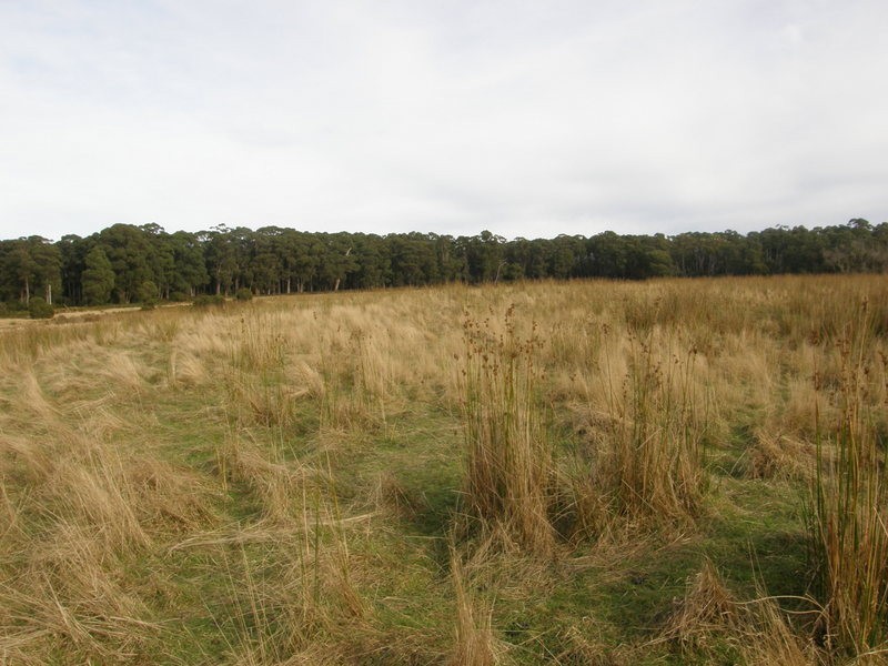 Lot 1 Stormlea Road, Highcroft TAS 7183
