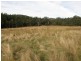 Lot 1 Stormlea Road, Highcroft TAS 7183