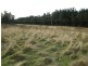 Lot 1 Stormlea Road, Highcroft TAS 7183