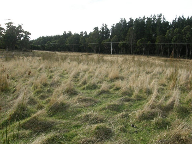 Lot 1 Stormlea Road, Highcroft TAS 7183