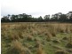 Lot 1 Stormlea Road, Highcroft TAS 7183