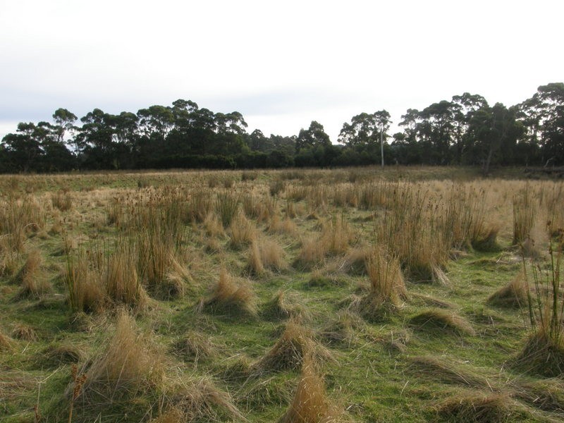 Lot 1 Stormlea Road, Highcroft TAS 7183