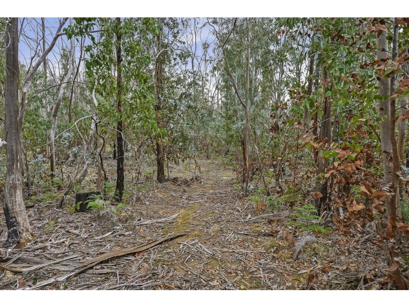 107 Inala Road, Forcett TAS 7173