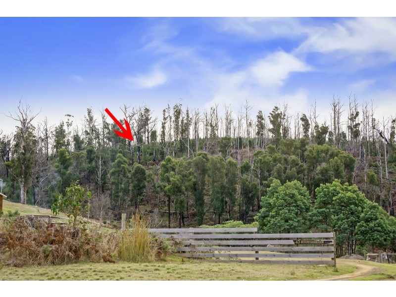 107 Inala Road, Forcett TAS 7173