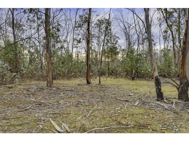 107 Inala Road, Forcett TAS 7173