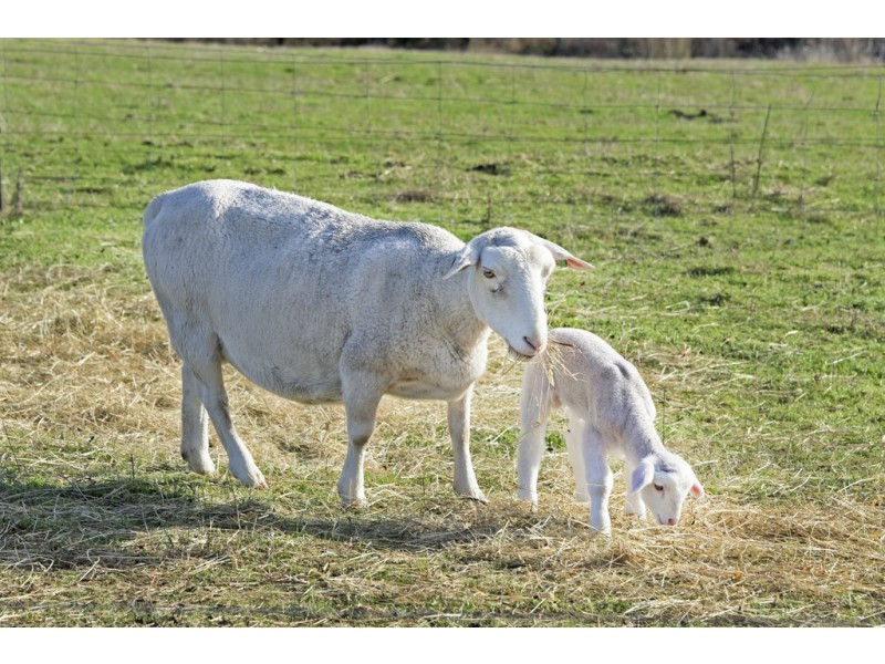 60 Heywards Road, Koonya TAS 7187