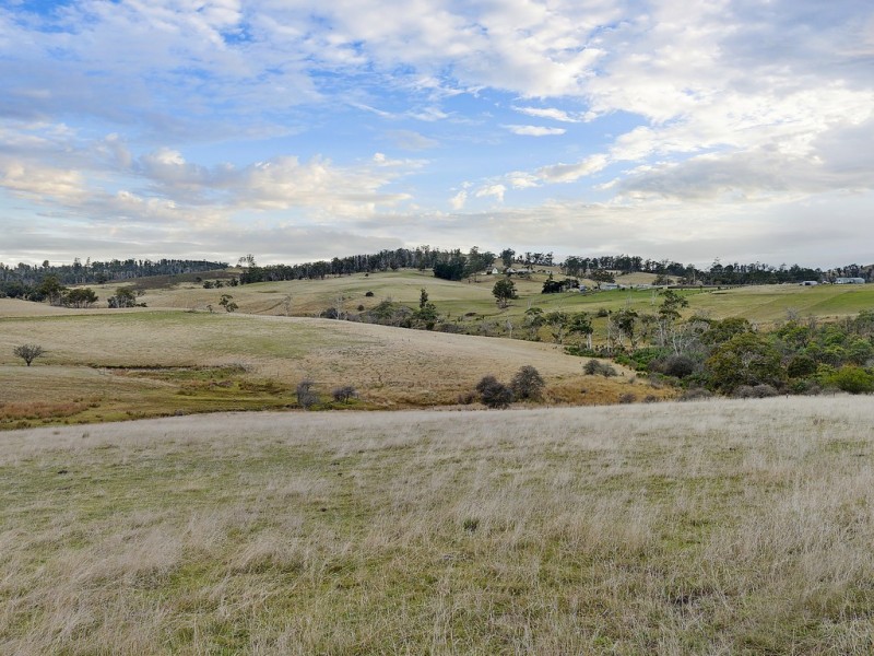 90 Waterson Lane, Carlton TAS 7173