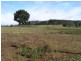 Lot 2 Blackjack Road, Sloping Main TAS 7186