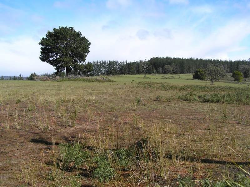 Lot 2 Blackjack Road, Sloping Main TAS 7186