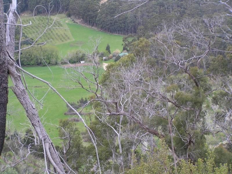 Lot 2 White Beach Road, White Beach TAS 7184