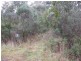 Lot 2 White Beach Road, White Beach TAS 7184