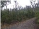 Lot 2 White Beach Road, White Beach TAS 7184
