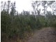 Lot 2 White Beach Road, White Beach TAS 7184