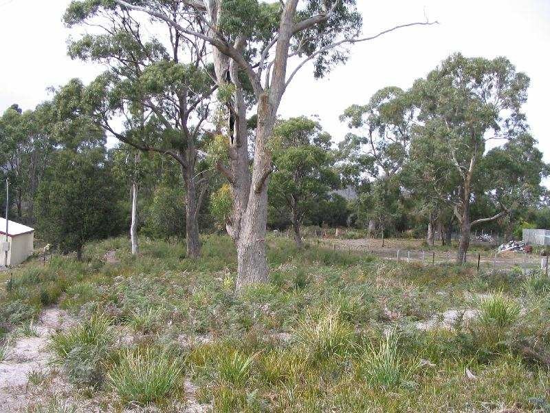 10 Olive Place, White Beach TAS 7184