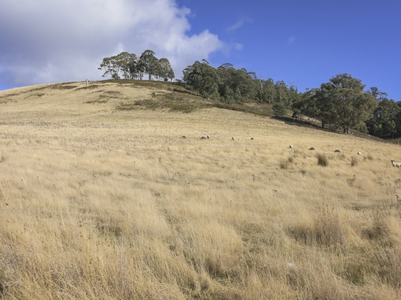 Lot 1, 68 Hungry Flats Road, Tunnack TAS 7120