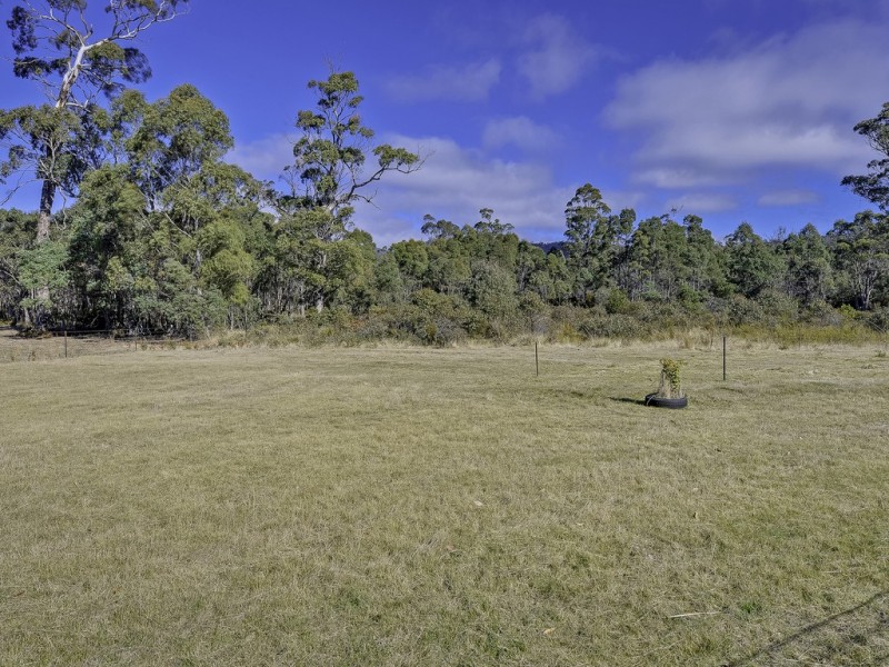 1145 Woodsdale Road, Levendale TAS 7120