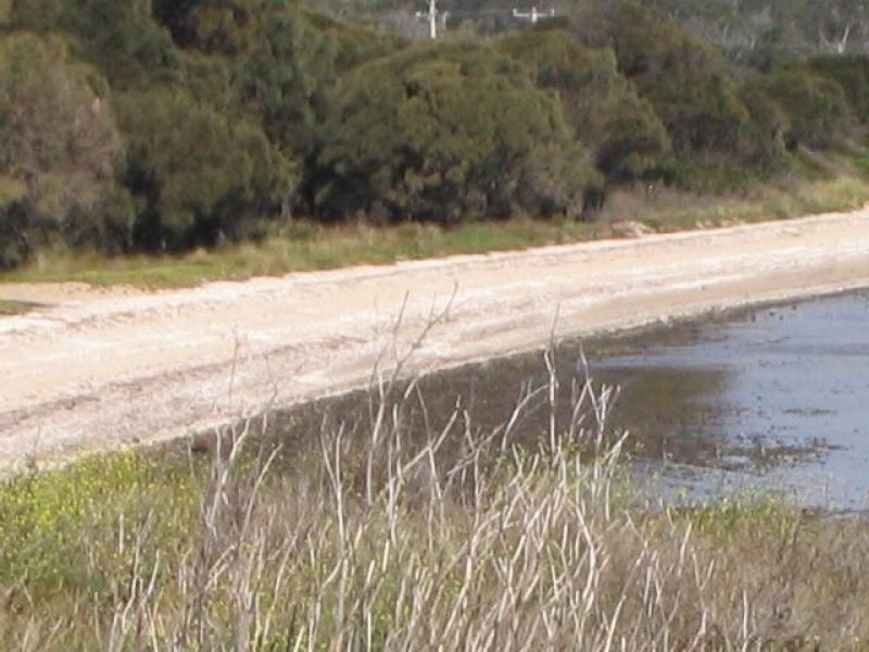 12 Spotswood Road, Dunalley TAS 7177