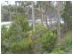 Cabin 6 Stewarts Bay Lodge, Port Arthur TAS 7182