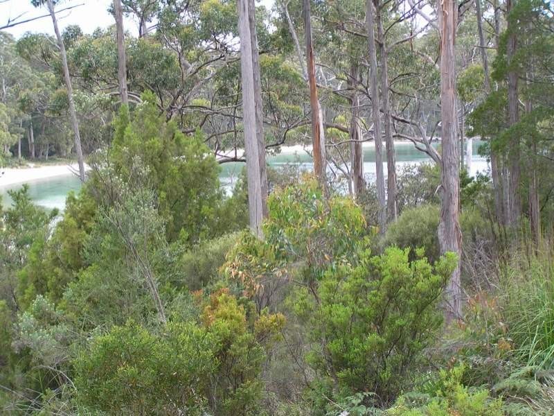 Cabin 6 Stewarts Bay Lodge, Port Arthur TAS 7182