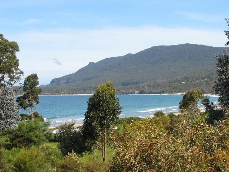 Lot 1, 413 Pirates Bay Drive, Eaglehawk Neck TAS 7179