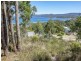 82 Lagoon Road, White Beach TAS 7184