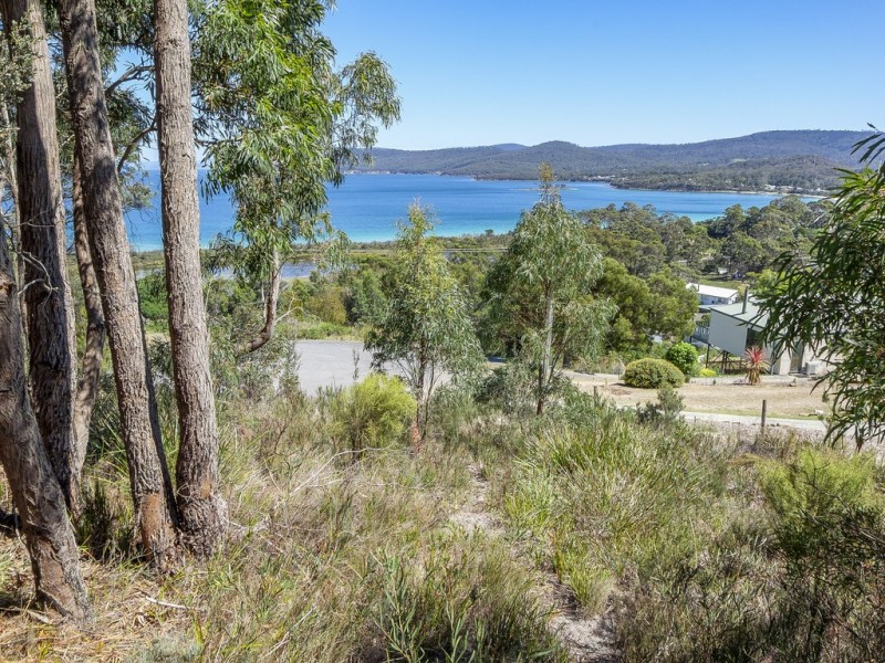 82 Lagoon Road, White Beach TAS 7184