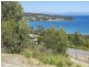 82 Lagoon Road, White Beach TAS 7184
