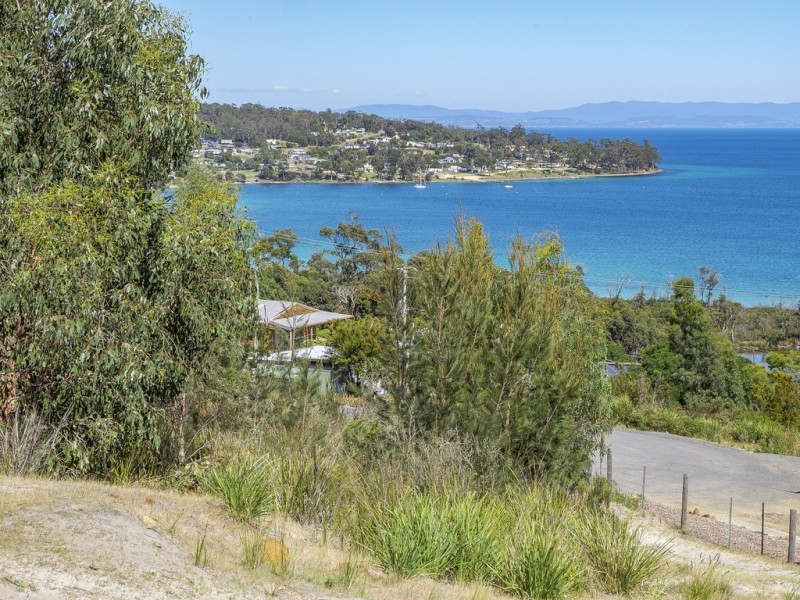 82 Lagoon Road, White Beach TAS 7184