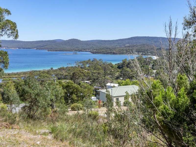 82 Lagoon Road, White Beach TAS 7184