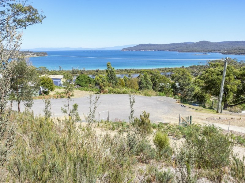 82 Lagoon Road, White Beach TAS 7184