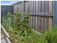 33 Horizon Drive, Sorell TAS 7172