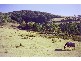Lot 1 Clearys Lane, Bream Creek TAS 7175
