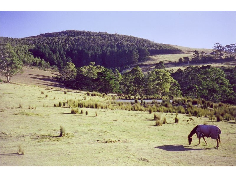Lot 1 Clearys Lane, Bream Creek TAS 7175